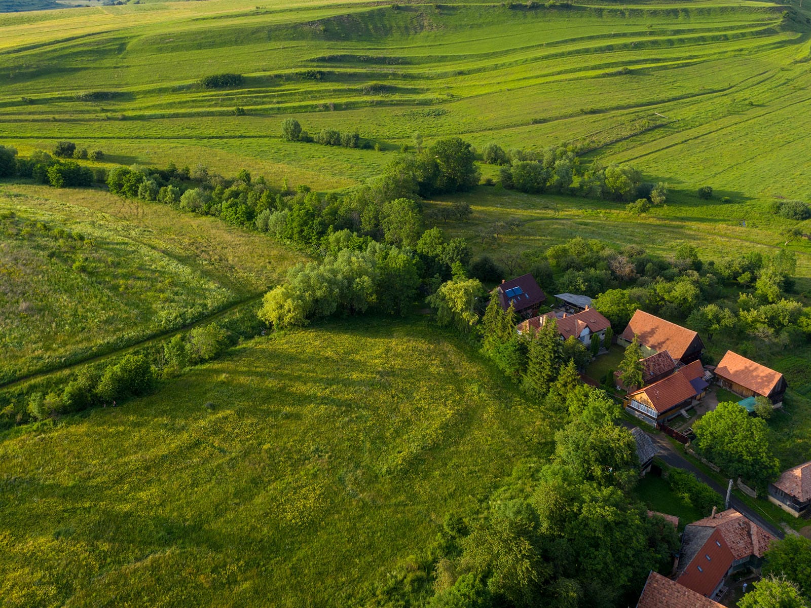 Aerial View of Lush Green Countryside with Farmhouses Aerial photography of verdant fields and small farmhouses nestled among trees in a rural landscape.